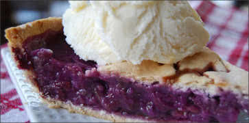 Apple Grape Pie at Meal Ticket