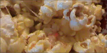 Havarti Herbs & Spice Cheese on Popcorn at Cheese Factory