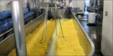 Cheese Making Vats at Cheese Factory