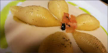 Conchiglioni stuffed with Shrimp at Ristorante WOW