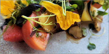 Heirloom Tomato Salad at Oro by Nixta