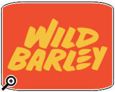 Wild Barley Kitchen & Brewery Restaurant featured on Diners, Drive-Ins and Dives in San Antonio